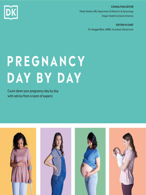 cover image of Pregnancy Day by Day